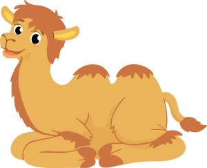 Illustration of a two-humped camel sitting on the ground, facing right, with a neutral expression.